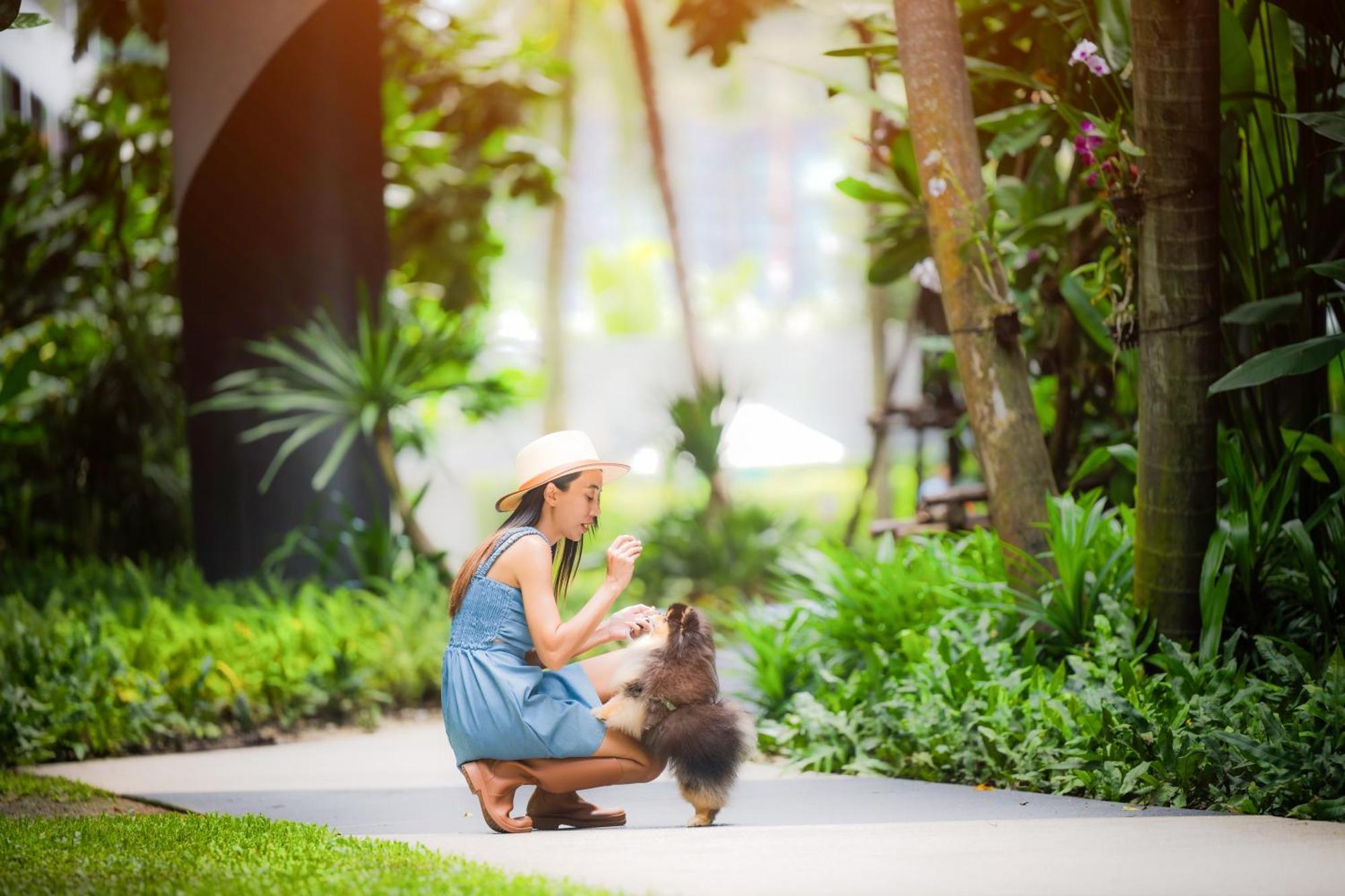 Homa Town Hotell Phuket